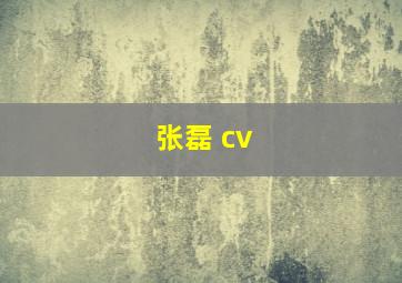 张磊 cv